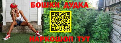 ПСИЛОЦИБИНОВЫЕ ГРИБЫ Кулебаки