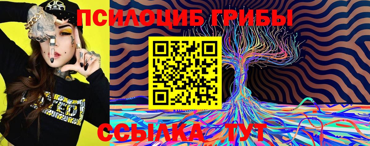 Галлюциногенные грибы Psilocybine cubensis Кировск