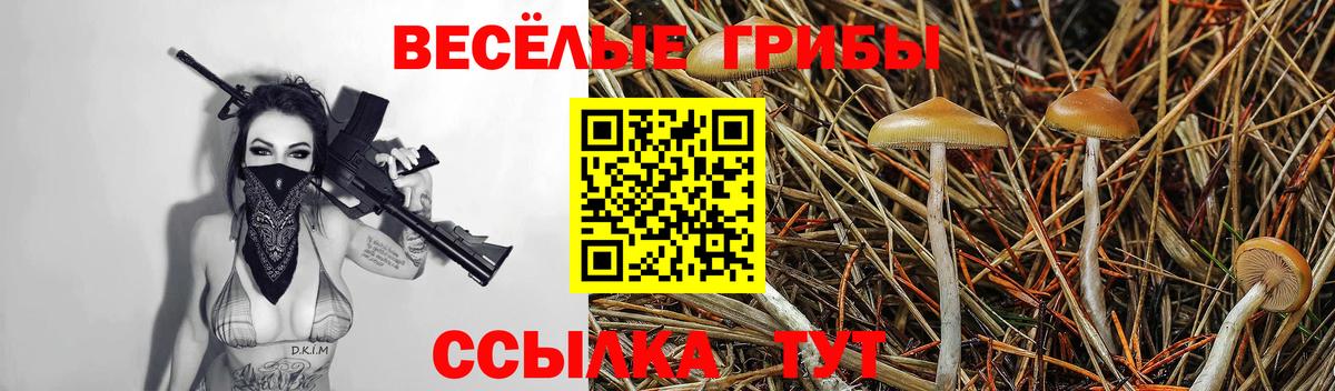 Кировск  Псилоцибиновые грибы Psilocybine cubensis  Псилоцибиновые грибы Magic Shrooms  Вход с VPN 
